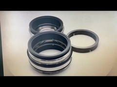 Fristam Seal GLRD FDS2 BCH-045 SIC-SIC-HNBR/C-TC-HNBR Fristam Fds için çift vidalı pompa