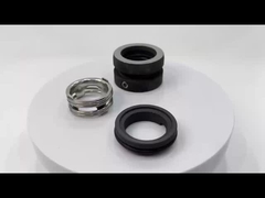 Endüstriyel süreçler için tek yaylı mekanik mühür WB2S 22