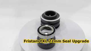 Fristam FKL Pompasına Uygun SIC SIC FKM Mekanik Salmastra 22MM'nin Neden Seçildiğini Görün
